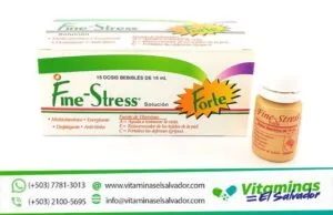FINE-STRESS CON GINSENG X 15 AMPOLLAS BEBIBLES