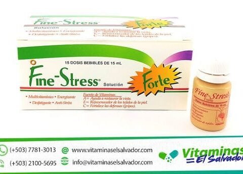 FINE-STRESS CON GINSENG X 15 AMPOLLAS BEBIBLES