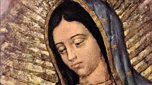 Farmacias Virgen de Guadalupe Farmacias Virgen de Guadalupe