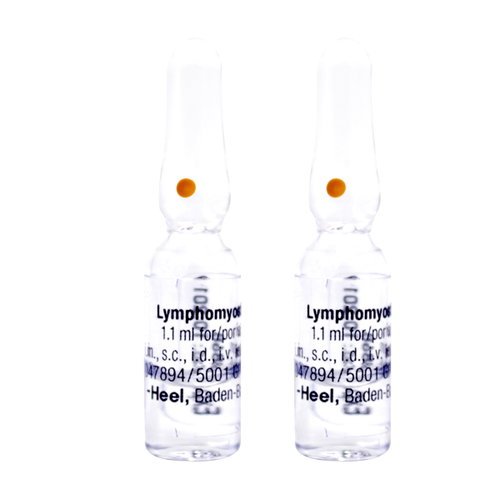 Lymphomyosot X 1 Ampolla 1.1Ml Lymphomyosot X 1 Ampolla 1.1Ml